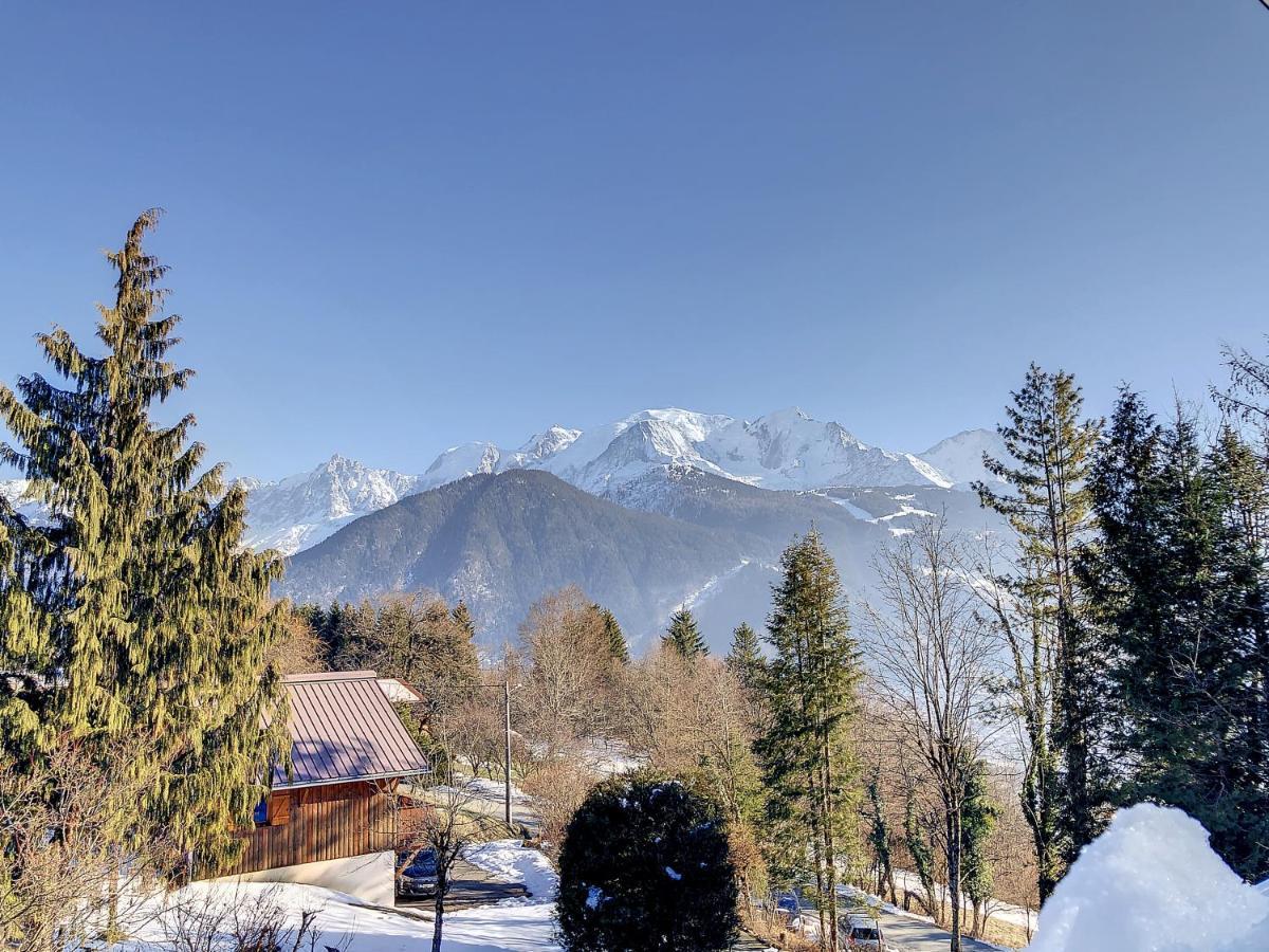 Mont Alt, F2 40M2 En Rdc, Calme, Vue Mt Blanc Passy (Haute-Savoie) Exterior foto